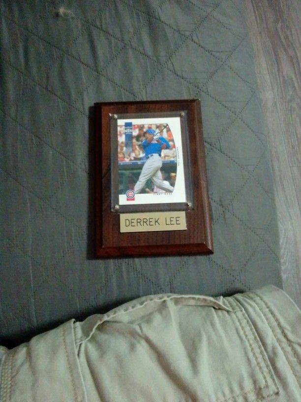 Derrek Lee framed baseball card