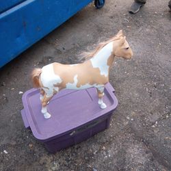 Caballo Horse Y Ya Le Puso Aquí O