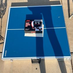 Ping Pong With Paddles