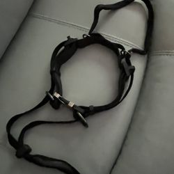 Sporn/Halti Gentle Leader Head Collar