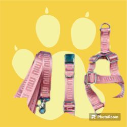 Miu Miu  Dog Harness