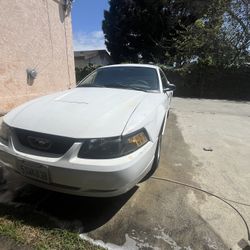 2004 Ford Mustang
