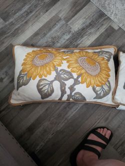 Indoor Or Outdoor Pillows