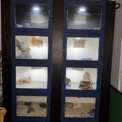 Custom 5-Level Wooden Reptile Enclosure(Must Go Today)