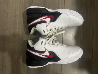 Lebron Nxxt Gen Ampd