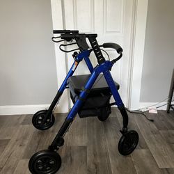 Heavy Duty Walker