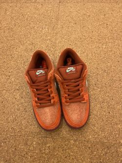 Dunk Low Orange 7 Men’s