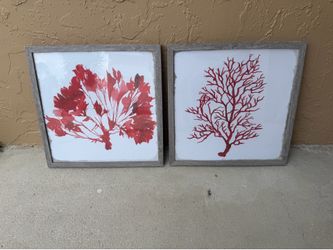Red Coral 2 piece art set