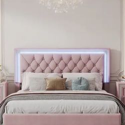 Queen Velvet Platform Bed with LED Tufted Headboard Upholstered Bed Frame