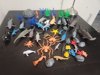 50 Ocean Animals Sharks, Octopus, Fish