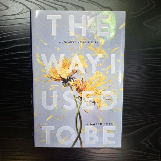 The Way I Used to Be by Amber Smith