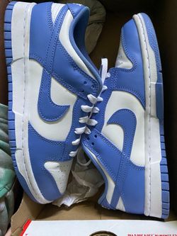 Polar Blue Dunks & Jordan 11 