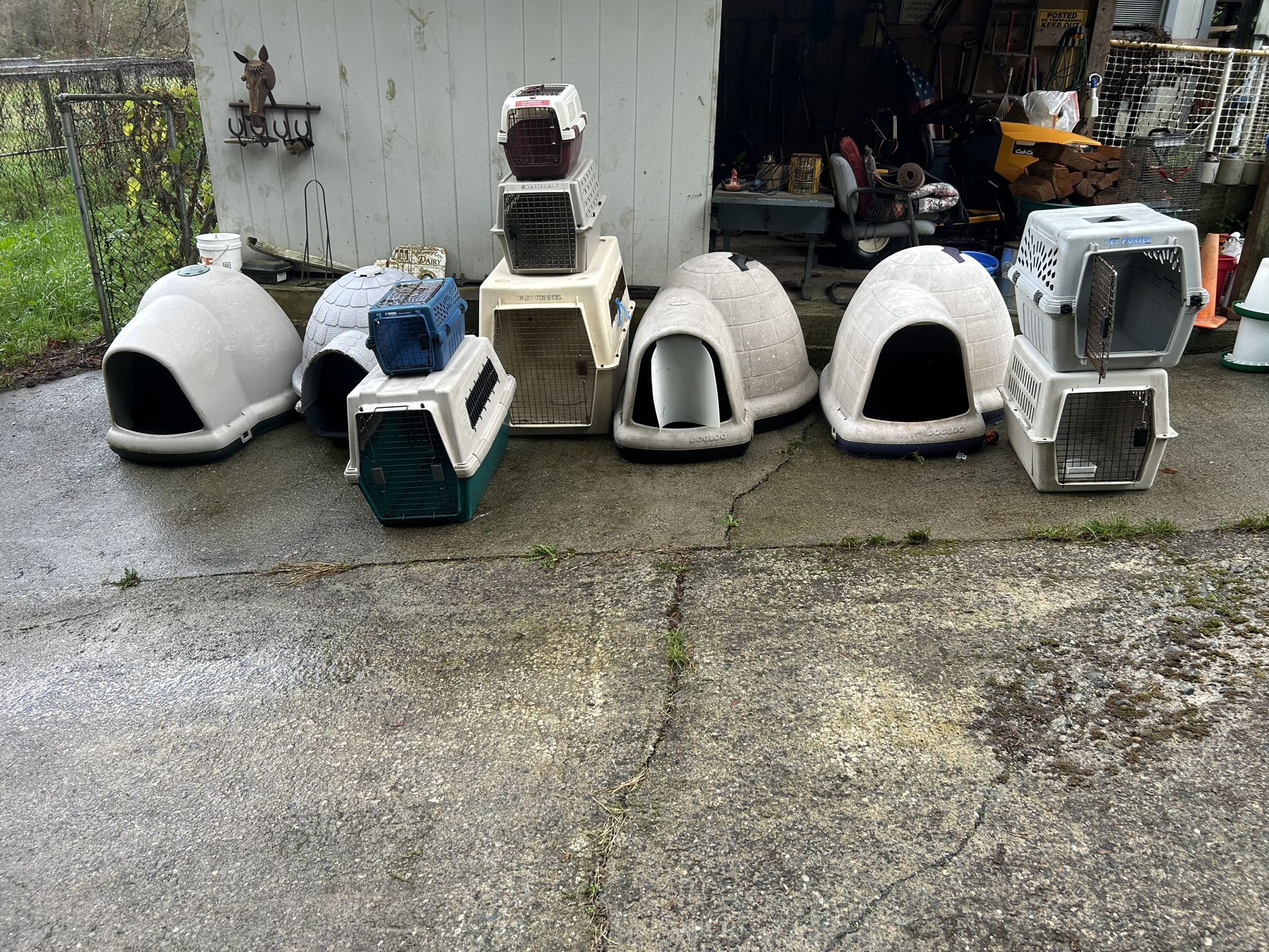Dog Kennels