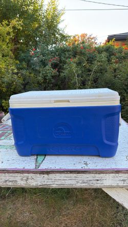 Blue Igloo Cooler 