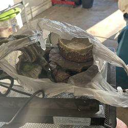 Reptile Cage