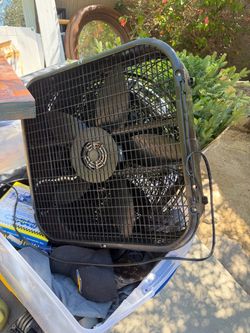Fans