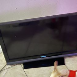 Visio 32 Inch Tv