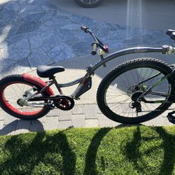 Weeride Copilot Bike Trailer Ride Along