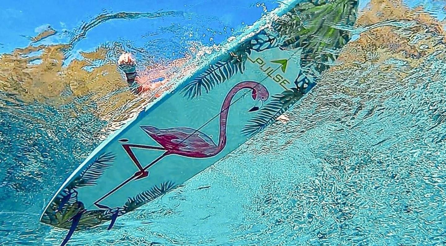 REDUCED! Paddle Boards New In Box. Leash, Bag, Fins, Paddle, Delivery, Lesson Included