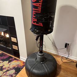 Punching Bag