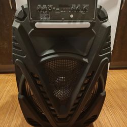 Radio/ Karaoke Bluetooth Speaker