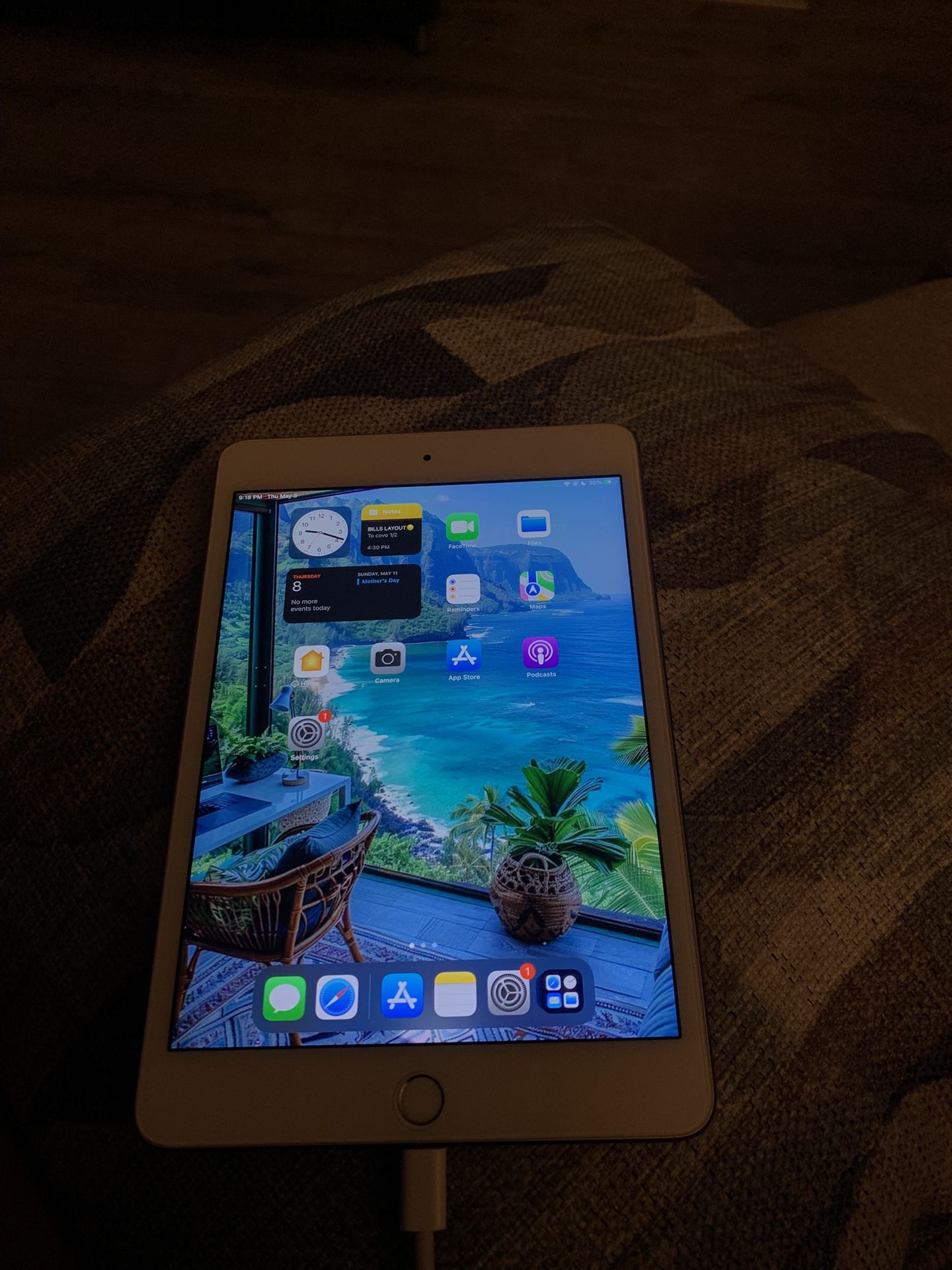 iPad Mini 4