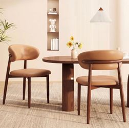 Modern Dining Chairs Set of 2