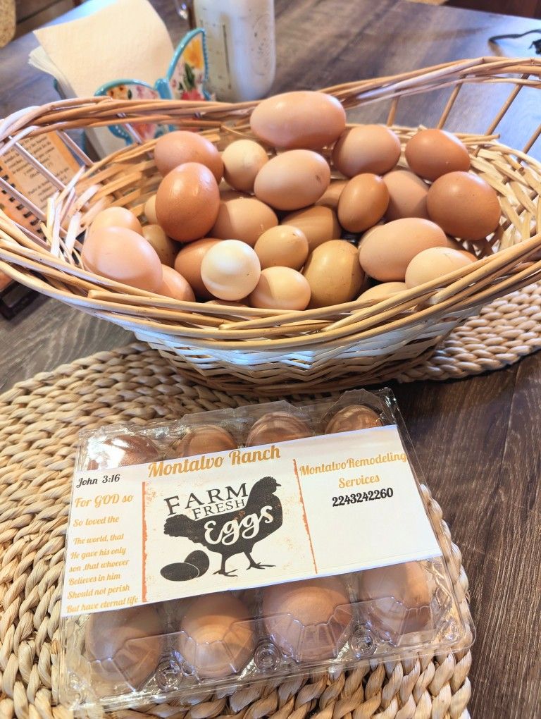 Free Range Eggs