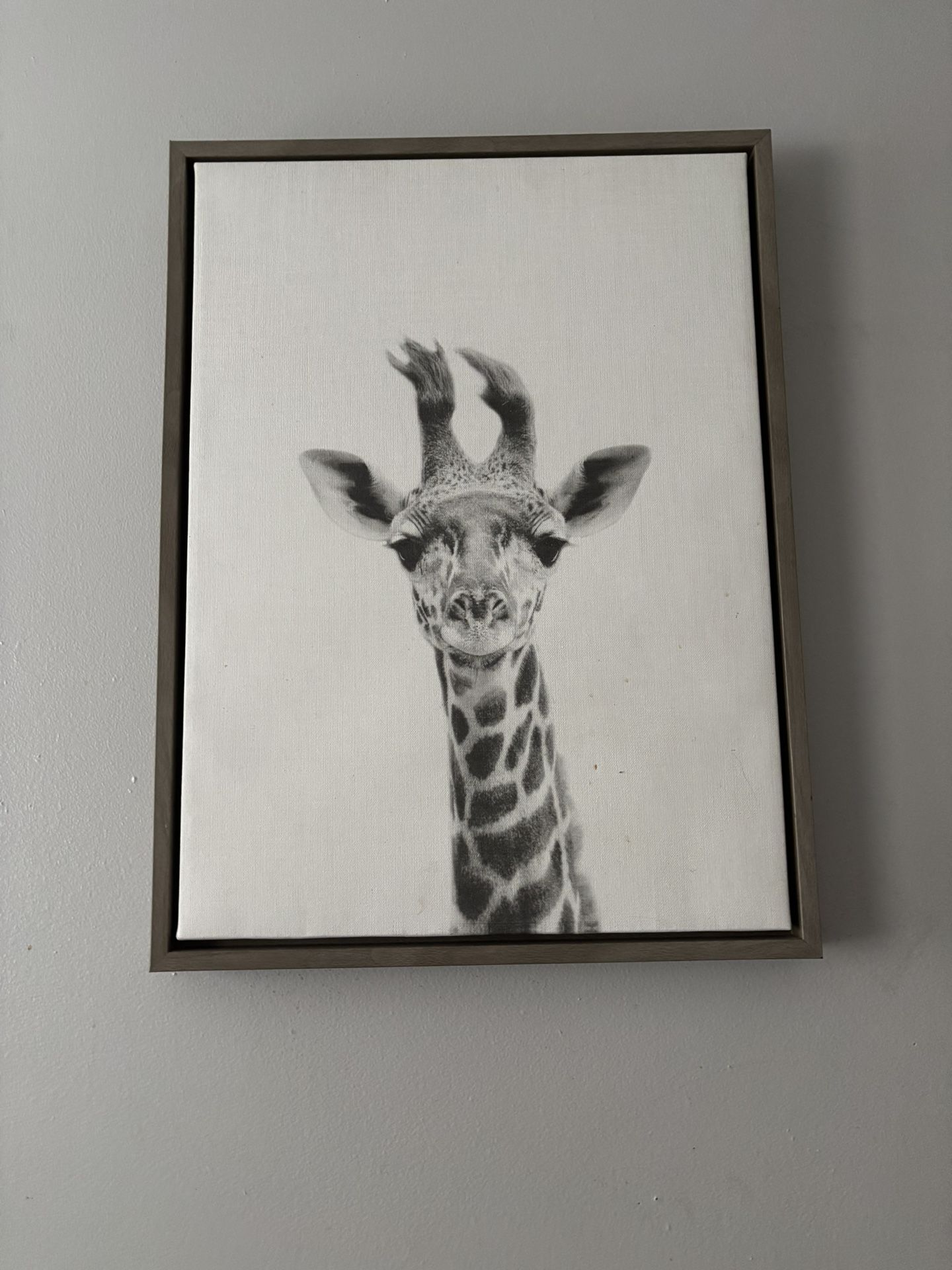 Black And White Animal Frame!