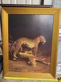  Cheetah Framed Wall Decor  26”x48”