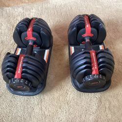 Bowflex Super Nice “Bowflex” SelectTech 552 Adjustable Dumbbells