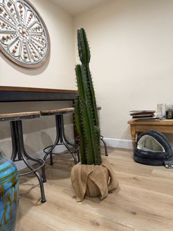 Pottery Barn Cactus in Burlap Wrap