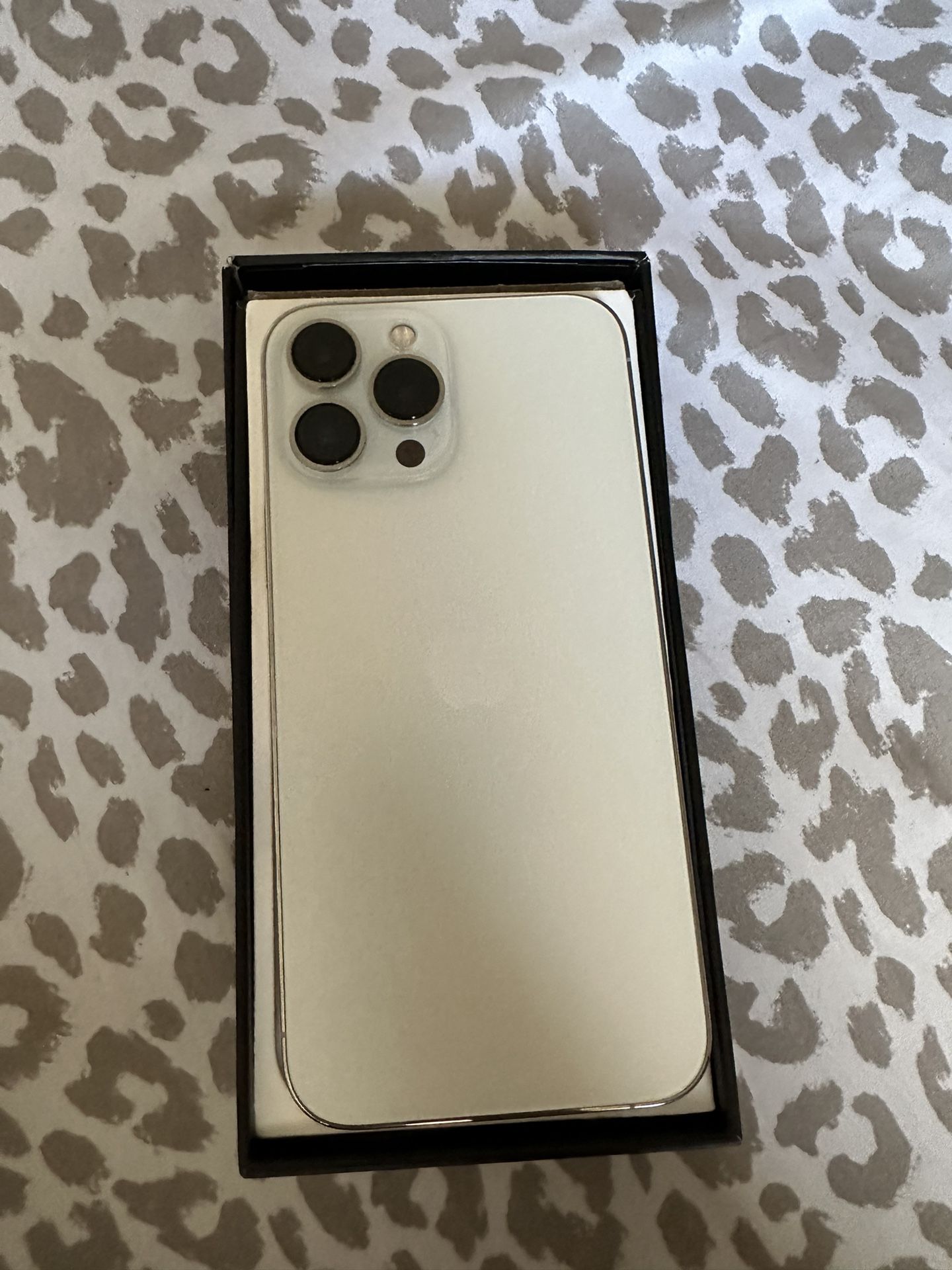 iPhone 13 Pro Max