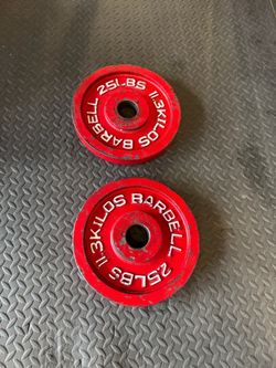 25lb Metal Plates Pair
