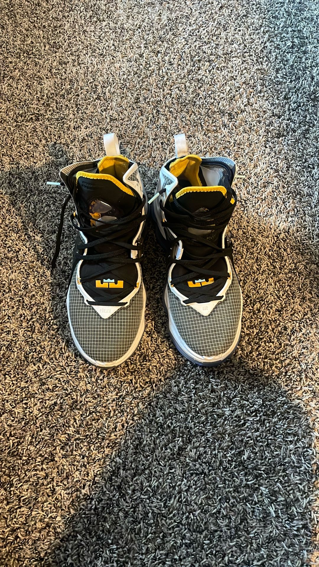 Lebron 19s