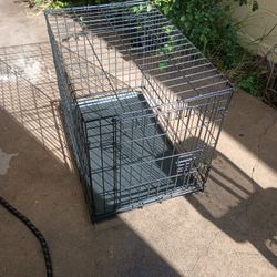 Dog Crate 