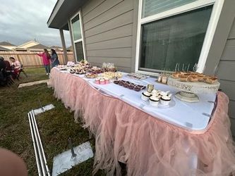 Blush Tulle Skirt 17 Ft Long