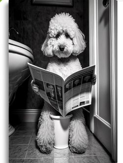 Poodle Sitting on the Toilet Bathroom Wall Art