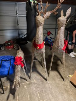 Christmas raindeers