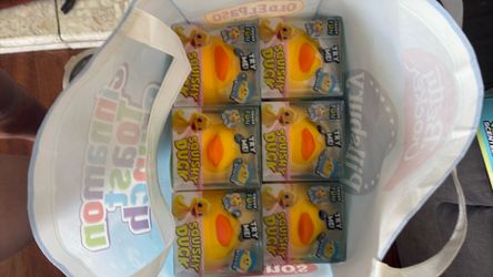 CRAZY FUN DUCKS