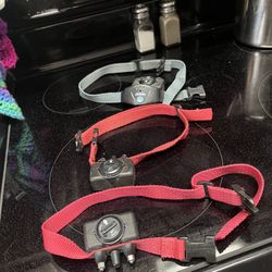 Bark Collars And Muzzles