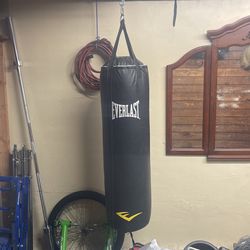 Everlast Boxing/punching/kicking Bag