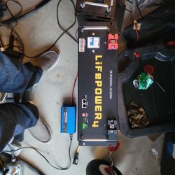 24 Volt Lifepower 4 Battery 