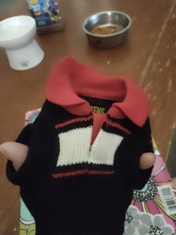 Small stylish dog sweater with Collar/ (petco). PICK ⛏️ UP ONLY