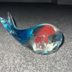 Jellyfish in glass