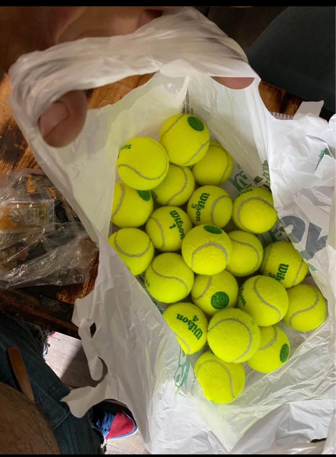 Fetch Tennis Balls