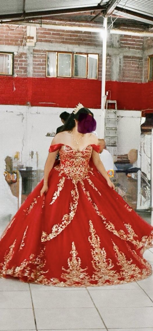 Quince Dress Used