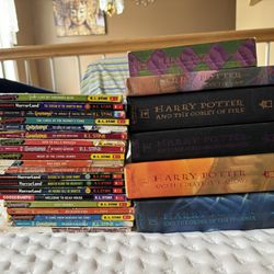 Goosebumps/ Harry Potter Book Collection 