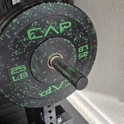 Olympic Weight Plates (340lb Set)