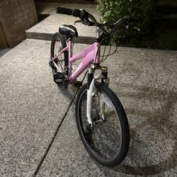 Pink Bicycle for Sale